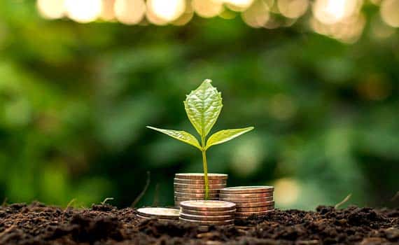 Plant Blogimage 570x350